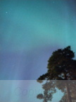 IMG 20240831 010431[1]