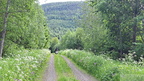 Harsång/Berg (1485 visits) Harsång/Berg