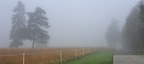 20250927 091257[1]